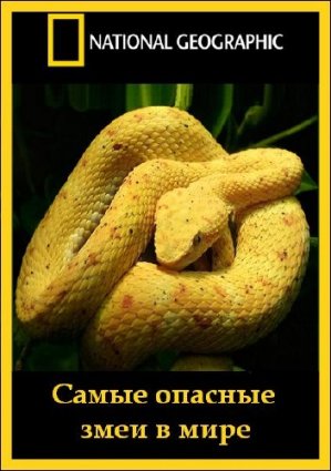 Самые опасные змеи в мире фильм 2010