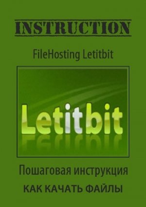 Как скачать бесплатно с Letitbit инструкция