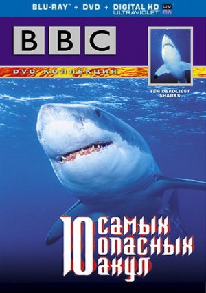 10 самых опасных акул фильм 2001